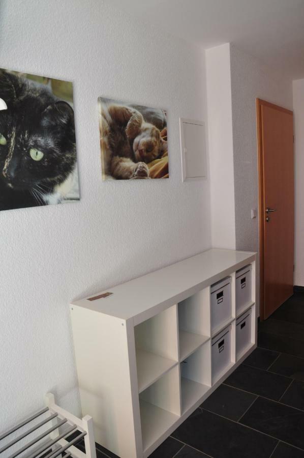 Ferienwohnung Roter Kater Am Nationalpark Eifel Bergbuir Εξωτερικό φωτογραφία